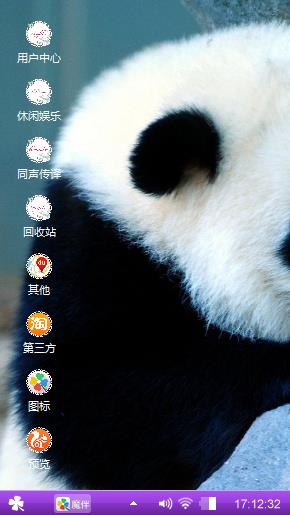 国宝---熊猫