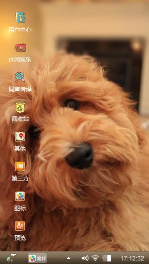 泰迪