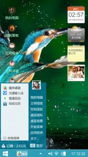 翠鸟2