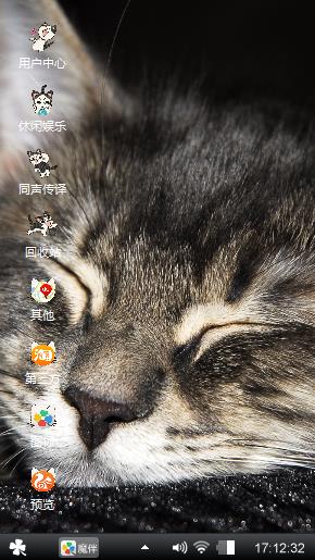 猫??