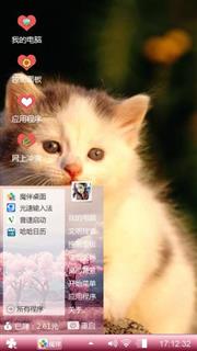 猫咪