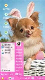美丽又可爱的动物