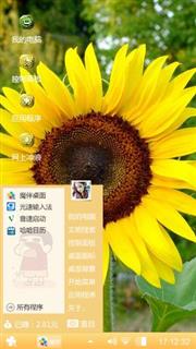 向日葵