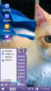 猫猫