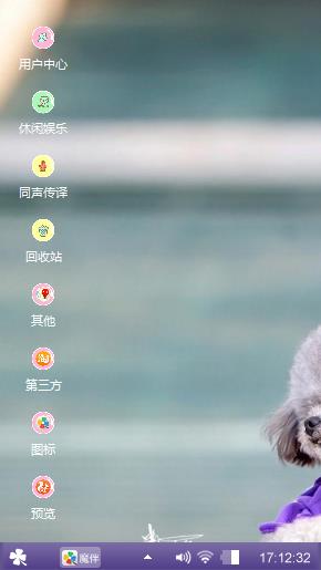 泰迪
