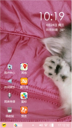 沉睡的猫猫