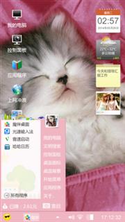 沉睡的猫猫