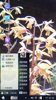 兰草花