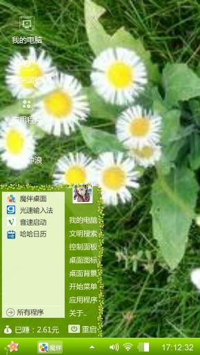 野菊花