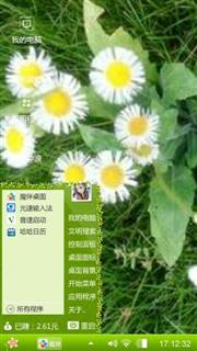 野菊花