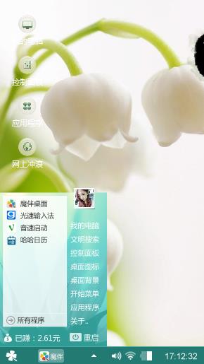清新的风兰