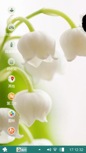清新的风兰