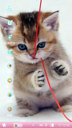 玩线团的猫咪