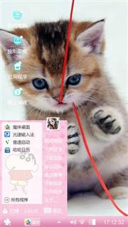玩线团的猫咪
