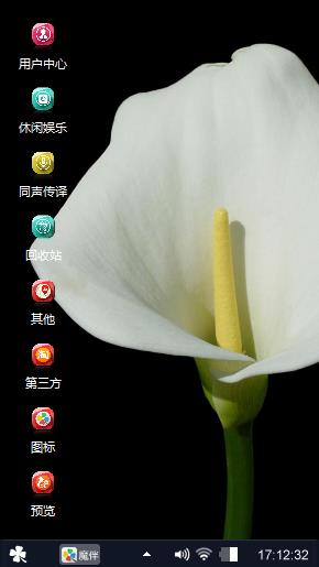 海芋花
