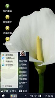 海芋花