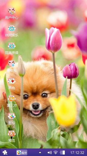 小狗卡米。