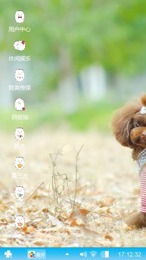 可爱的小狗
