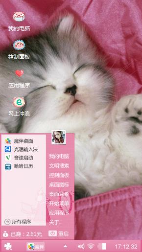 睡觉的萌猫咪