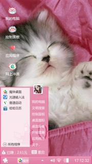 睡觉的萌猫咪