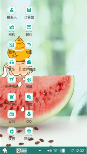 西瓜种子