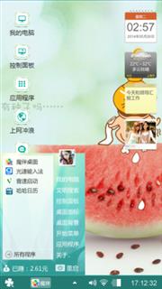西瓜种子