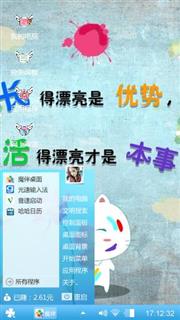 花脸小白猫
