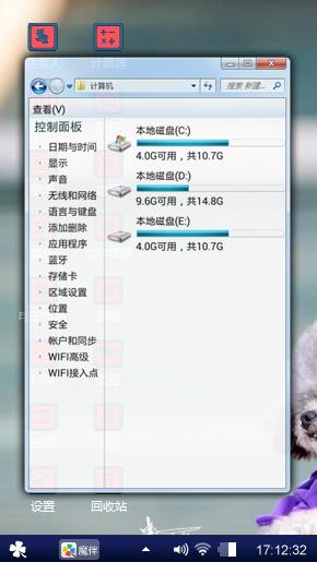 泰迪