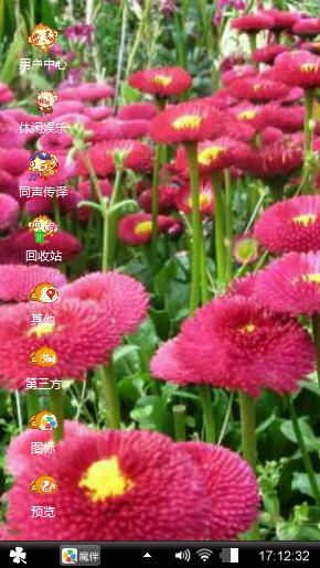 雏菊