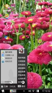 雏菊