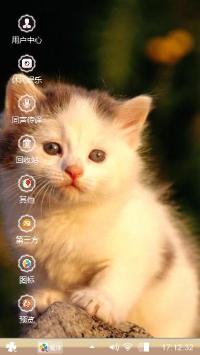 可爱猫咪