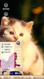 可爱猫咪