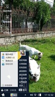 法国斗牛犬