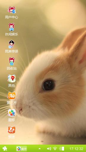 可爱的兔子