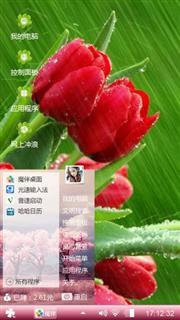 绿绿的心