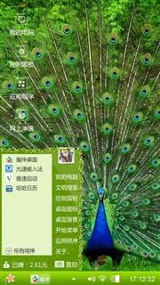 孔雀开屏