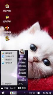 纯白小奶猫