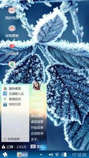 冰雪霜花