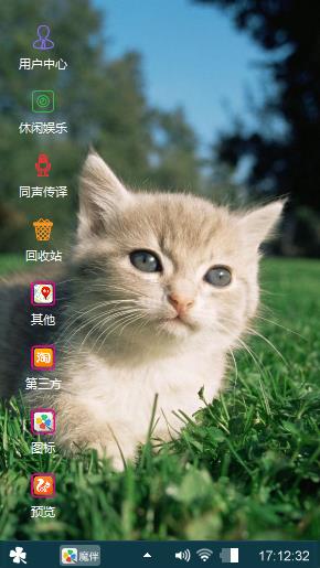 呆萌猫咪