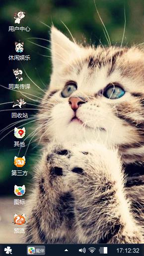 祈祷的猫
