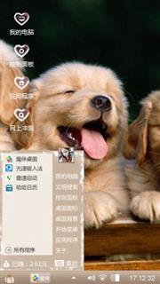 可爱的萌宠