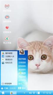 可爱猫咪