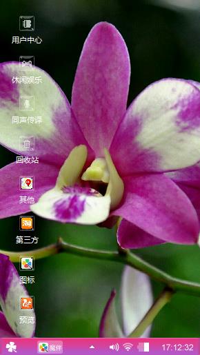 胡姬花