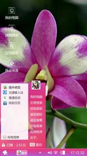 胡姬花