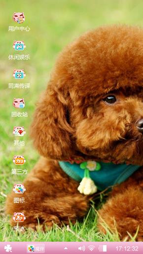 狗狗的世界