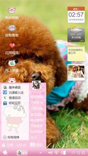狗狗的世界
