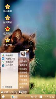 可爱的猫咪