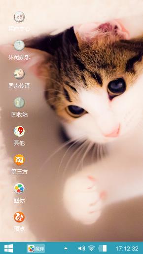 宠物