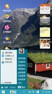 辉豹迷