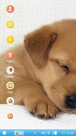  dog